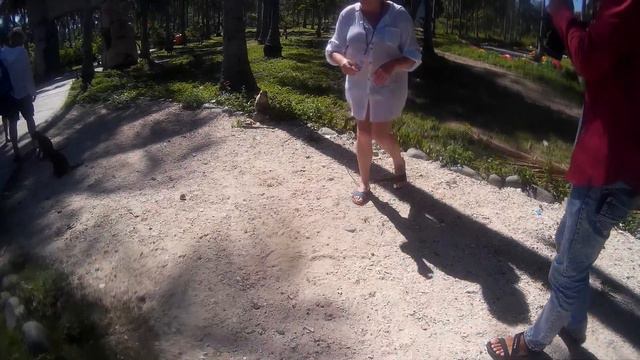 Вьетнам.Нячанг.Экскурсия на остров обезьян. смотреть онлайн