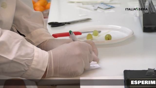 "La farsa dei tamponi: questo video ne certifica l’assoluta inattendibilità" смотреть онлайн