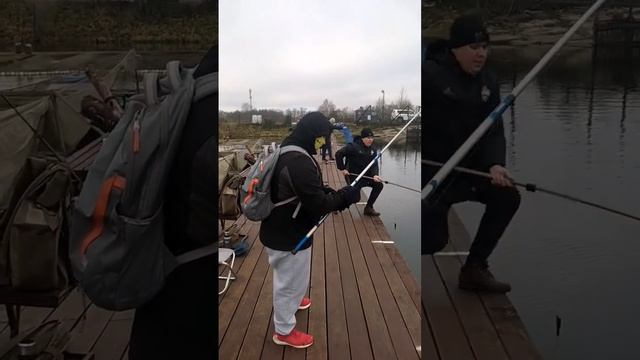 Рыбалка на форель. Ловля форели на резину. Платная рыбалка в Подмосковье / рыбалка Савельево. смотреть онлайн