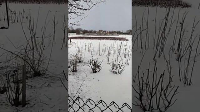 тишина и Вороны смотреть онлайн