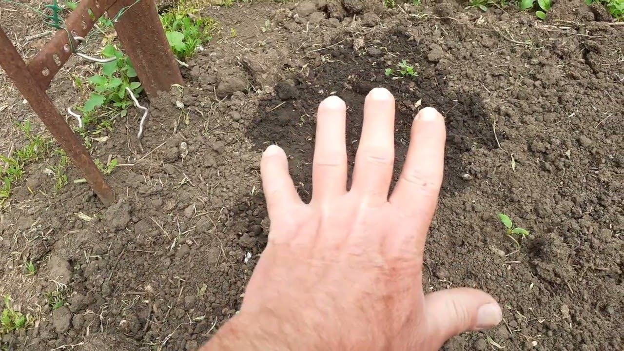 шпалерная сетка для огурцов.... смотреть онлайн