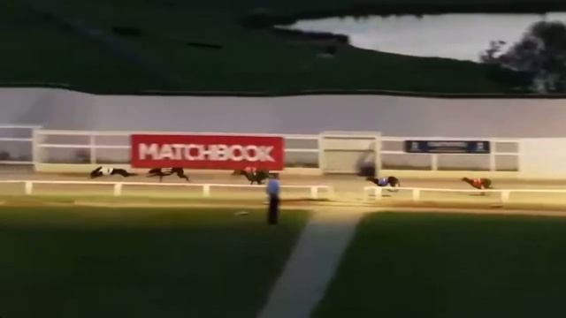2022 Star Sports English Greyhound Derby смотреть онлайн