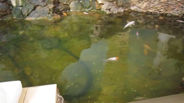 магазин КАРАГАНДА смотреть онлайн