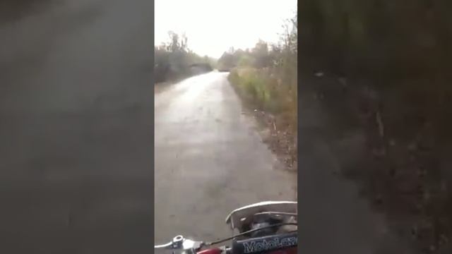 Питбайк 125 кубов