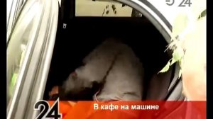 Эфир 24   В Казани Chevrolet врезался в кафе
