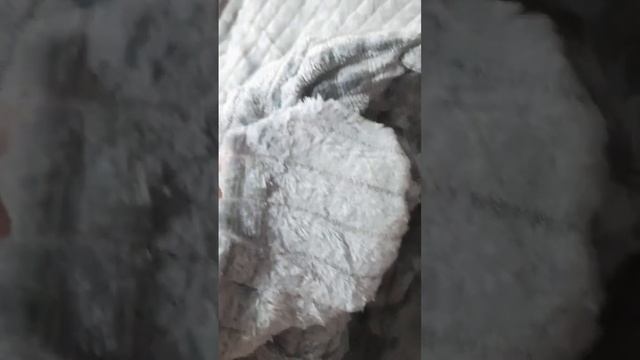 плед покрывало евро смотреть онлайн