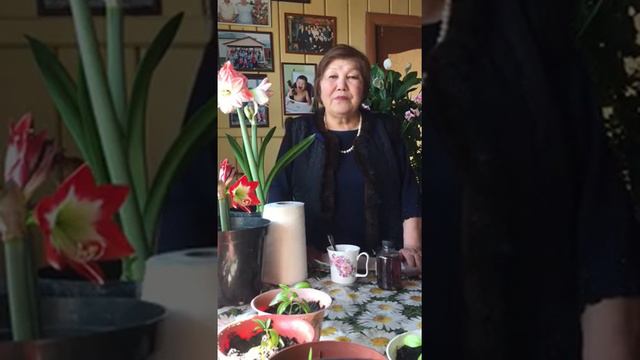 Онкология и аконит. Советы якутской травницы