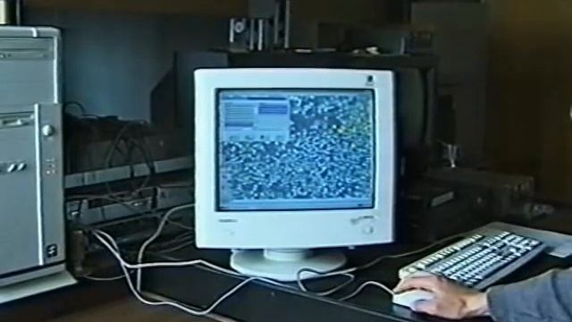 Сибирский коконопряд, Тайга смотреть онлайн