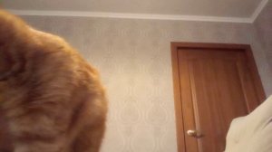 и:ииииии:иииии