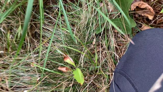 IPHONE SE 2020 4K Videotest 60 Frames-IS IT GOOD FOR VLOGGING? смотреть онлайн