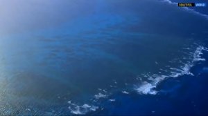 Большой барьерный риф Главное чудо Австралии. #ПопулярнаяГеография