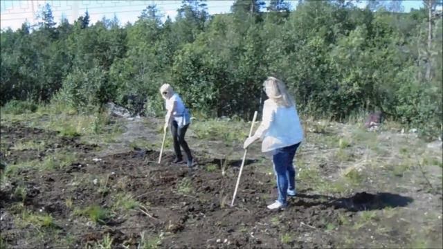 "МгимО" - Мир ГлазамИ МОнчегорца - Общегородской субботник. Аллея памяти. 30.07.2016. смотреть онлайн