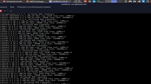 Void Linux + DWM установка | Install Void Linux + DWM смотреть онлайн