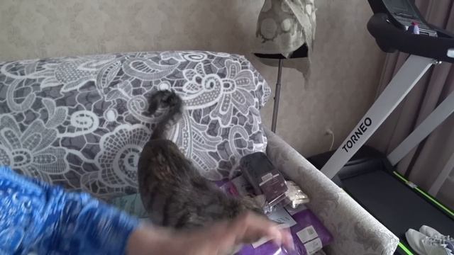 ГДЕ КУПИТЬ НУЖНЫЕ ПОДАРКИ К НОВОМУ ГОДУ  В ЛЮБИМОМ ВАСИЛЬКЕ!