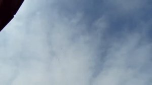 Высоколетные николаевские серпастые голуби станица кущевская