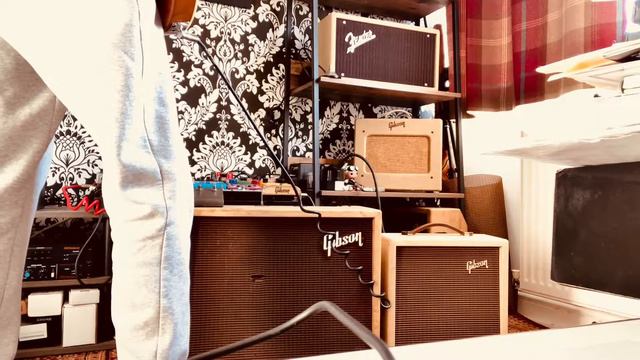 Wet/dry Gibson 62 GA-19rvt & 61 Gibson GA-5 skylark смотреть онлайн