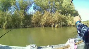 Рыбалка, Темрюкские лиманы, осень 2019г. Ловим густеру, тарань и т.д. Ч 2