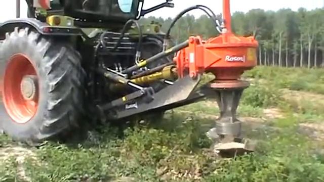 Озеленение для начинающих: советы от эксперта