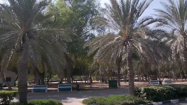 Al Mamzar Beach Park. Dubai. Аль Мамзар Бич Парк. Дубай смотреть онлайн