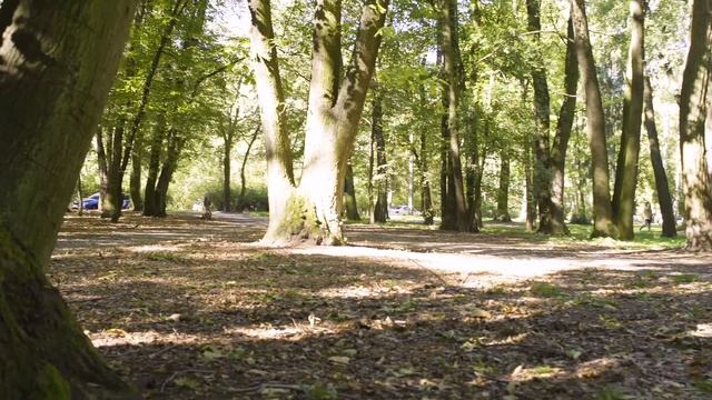 Hulajnoga Szybsza Niż Xiaomi Mijia! - Recenzja E-Twow Booster Plus S