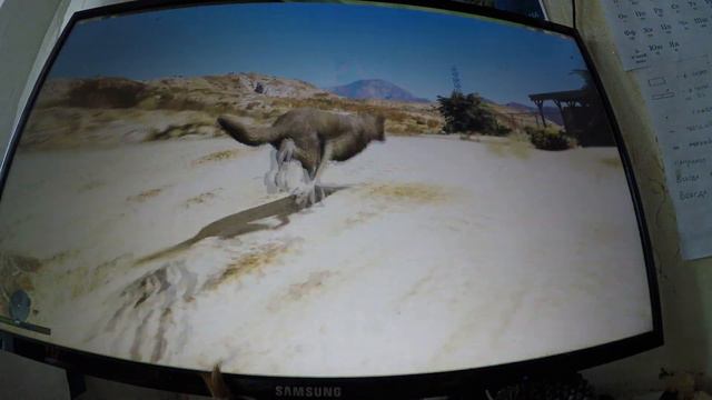 GTA 5 играем за койота или волка Тимошу часть 2 смотреть онлайн