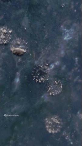 Zooming into COVID-19 mask 😷 #shorts смотреть онлайн