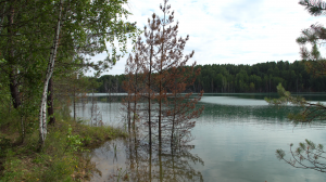 Наша Сибирь 4К: Озеро Апрелька