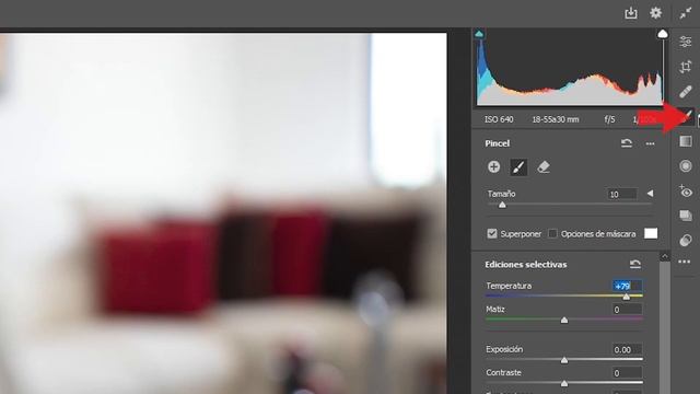 Actualización de Camera Raw para Photosohop CC en junio del 2020. ¡Esta muy interesante! смотреть онлайн