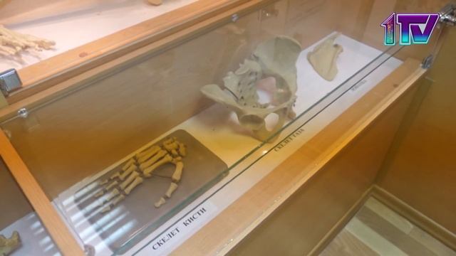 05.04.21. «Құқықтық пәндер» смотреть онлайн