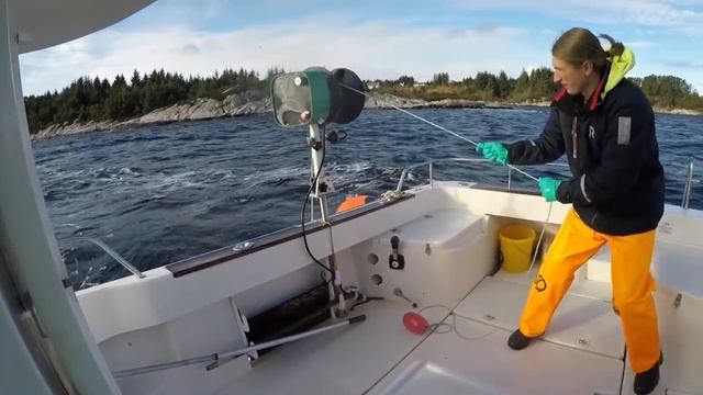 Ловля омаров в Норвегии. Норвежский лобстер гигант/ Lobster fishing in Norway ?? Norwegian Lobster смотреть онлайн