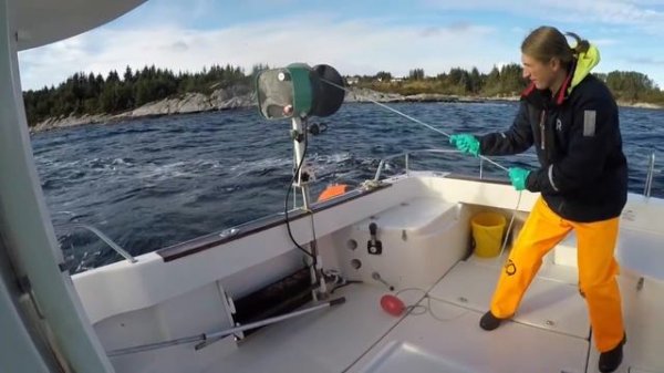 Ловля омаров в Норвегии. Норвежский лобстер гигант/ Lobster fishing in Norway ?? Norwegian Lobster