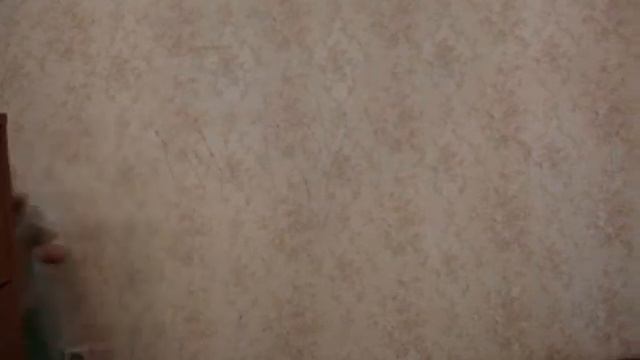 Поём частушки.MPG смотреть онлайн