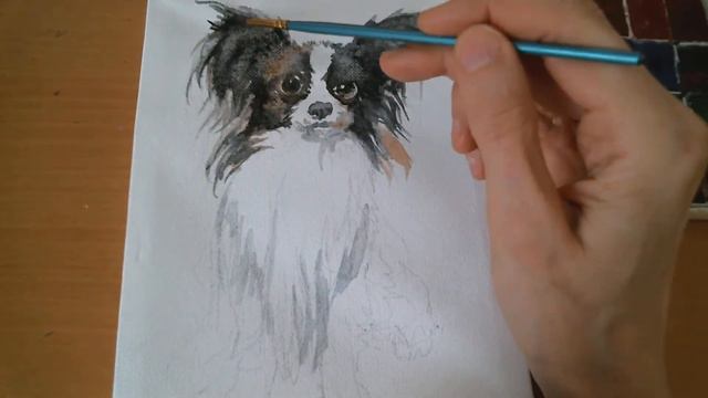 Canvas Painting Dog Art, Black and white Papillon puppy, pet portrait, cute animals,paint your pet смотреть онлайн