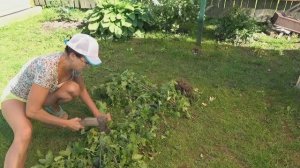 6 соток 3 июля 2023 года Хроника