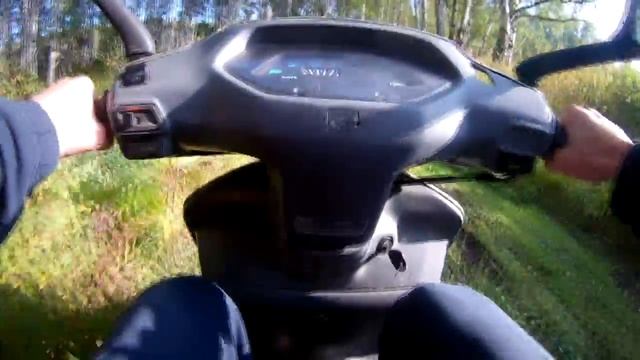 |КАТАЕМСЯ ПО ЛЕСУ НА МОПЕДЕ| смотреть онлайн