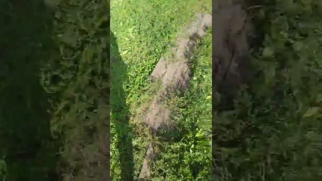 8 августа 2019 г. смотреть онлайн