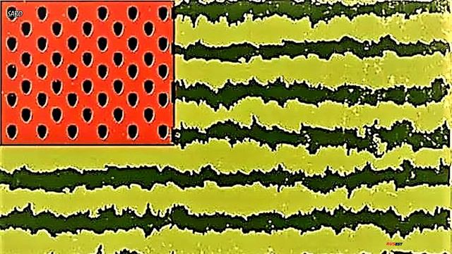 Serj Abolymov & KavunY - Птица Одесса смотреть онлайн