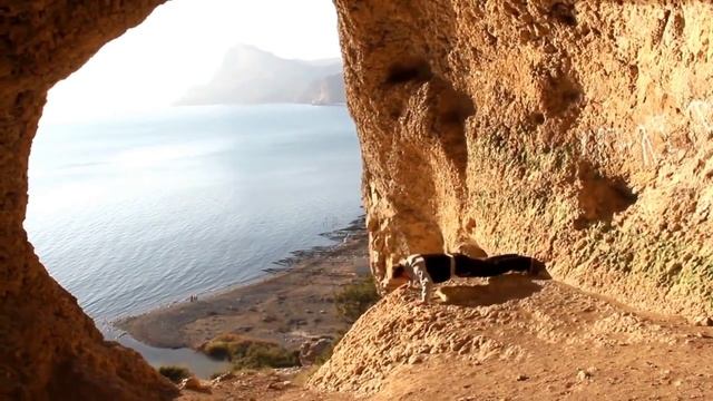 Отжимания на природе