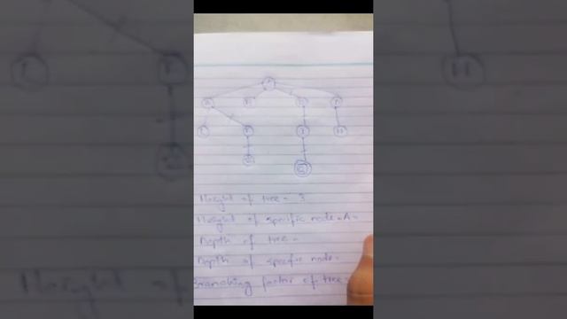 Depth,Height and Branching factor of a tree in AI|AI|depth of node| height of node смотреть онлайн