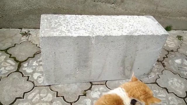 Мой выбор Полистиролбетонный блок, из него буду возводить стены дома смотреть онлайн