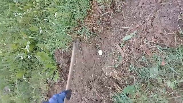 Сажаем картошку в целину Часть 1 смотреть онлайн