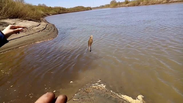 Рыбалка на Чумыше. смотреть онлайн