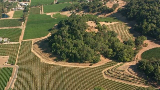 San Francisco Travel Guide 2023 - Best Places To Visit In San Francisco USA -Top Tourist Attraction