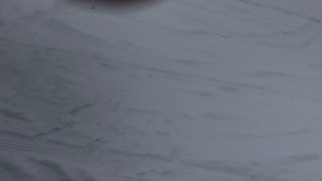 Питербилт 579 Glider. Peterbilt 579