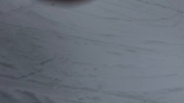 Питербилт 579 Glider. Peterbilt 579