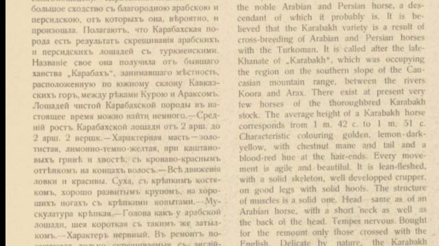 Породы лошадей. смотреть онлайн