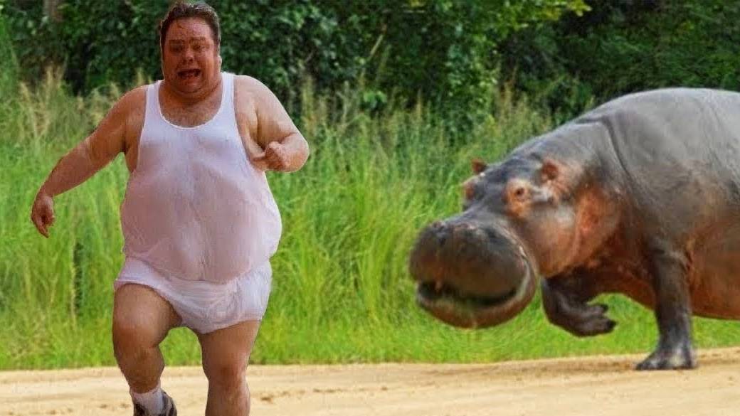 99% ЗАСМЕЮТСЯ ОТ этого ВИДЕО! ЛУЧШИЕ ПРИКОЛЫ 2024 года! Самый УГАР!