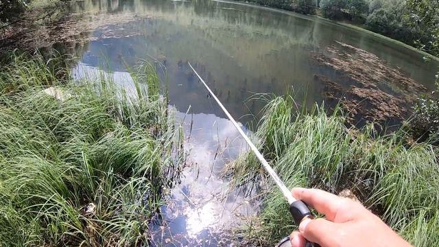Рыбалка в ГОРАХ Кабардино-Балкарии. Ловля щуки и голавля в озере. смотреть онлайн