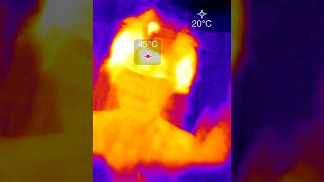 SeeK Compact - Hair Drying смотреть онлайн