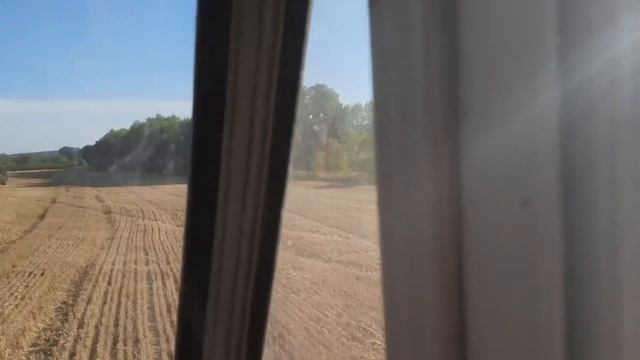 Уборка пшеницы 2022 Гром и Алексеич.Что сыпет ?? смотреть онлайн